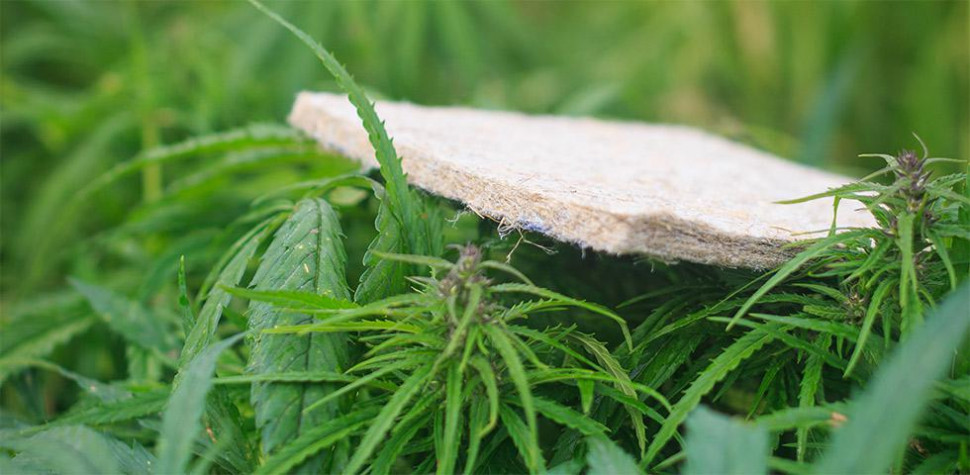 Матрас Mr.Mattress Indica L 